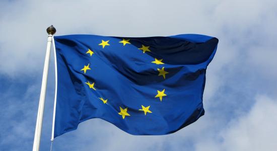 Traineeship at the EU Council